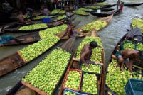 Barisal, the Land of Rivers 